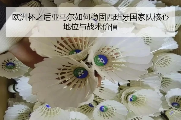 欧洲杯之后亚马尔如何稳固西班牙国家队核心地位与战术价值（kaiyun）